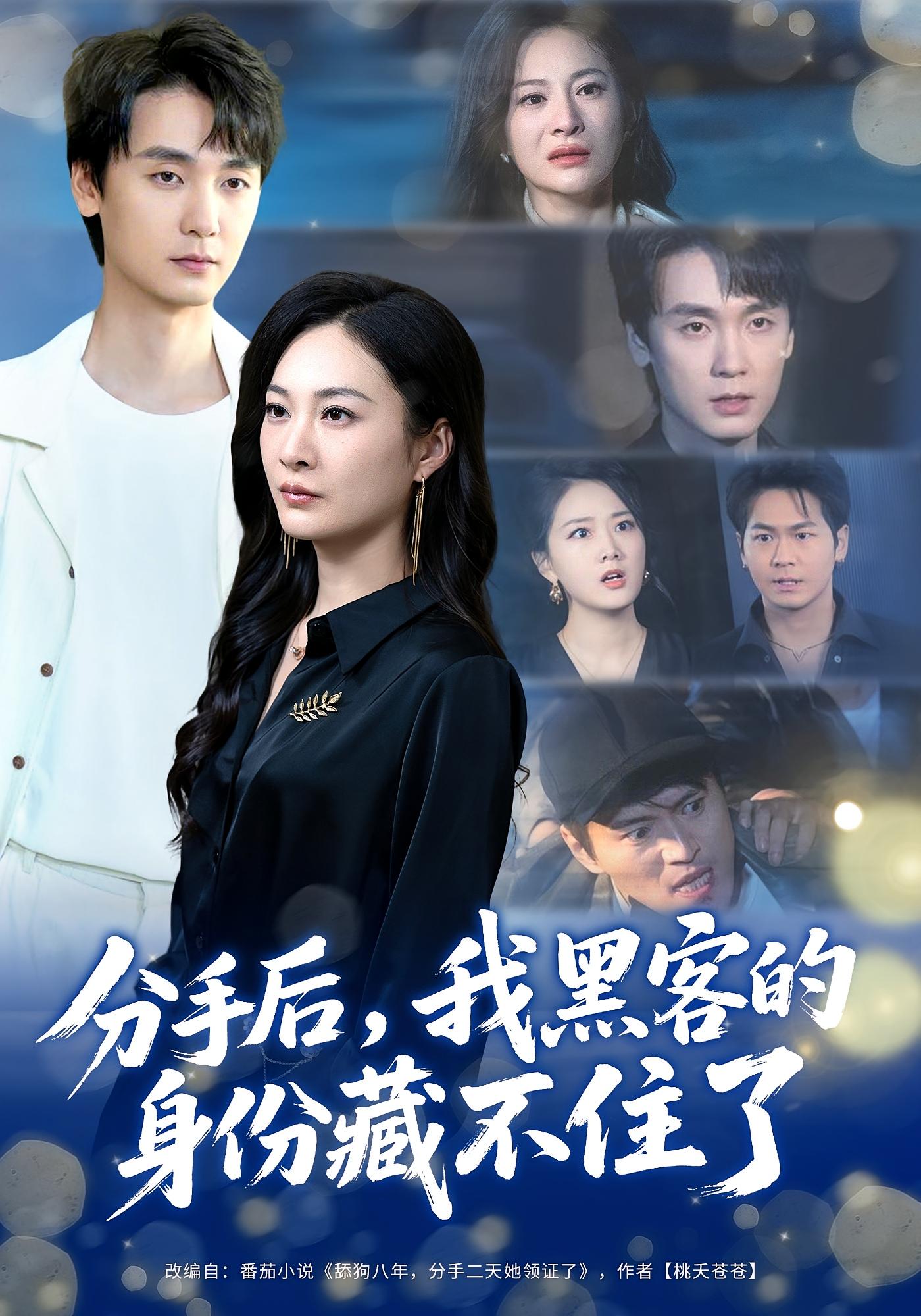 分手后，我黑客的身份藏不住了 都市日常·马甲·全80集 李冰冰&闵星翰&阮思瑶