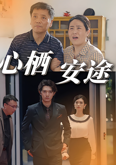 心栖安途封面图