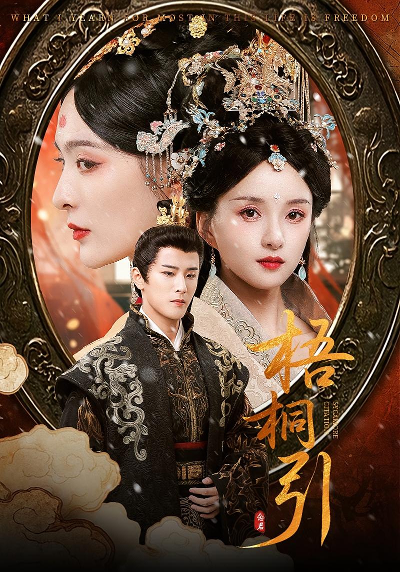 梧桐引 宫斗宅斗·重生·全70集 索菲&伍中元