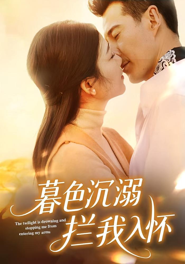 遇见他的城池 都市情感·都市·全60集 萨钢云&李荣昊&马庆启