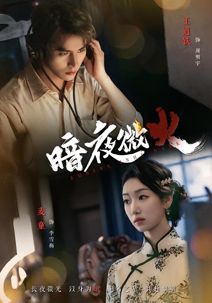 暗夜微火 抗战谍战·谍战·全80集 王道铁&麦童&白金铂