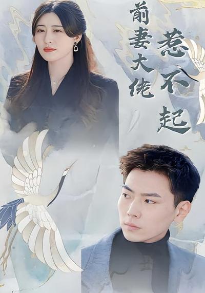 前妻大佬惹不起封面图
