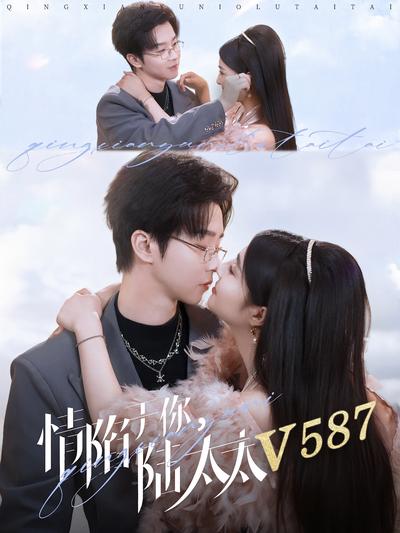 情陷于你陆太太V587封面图