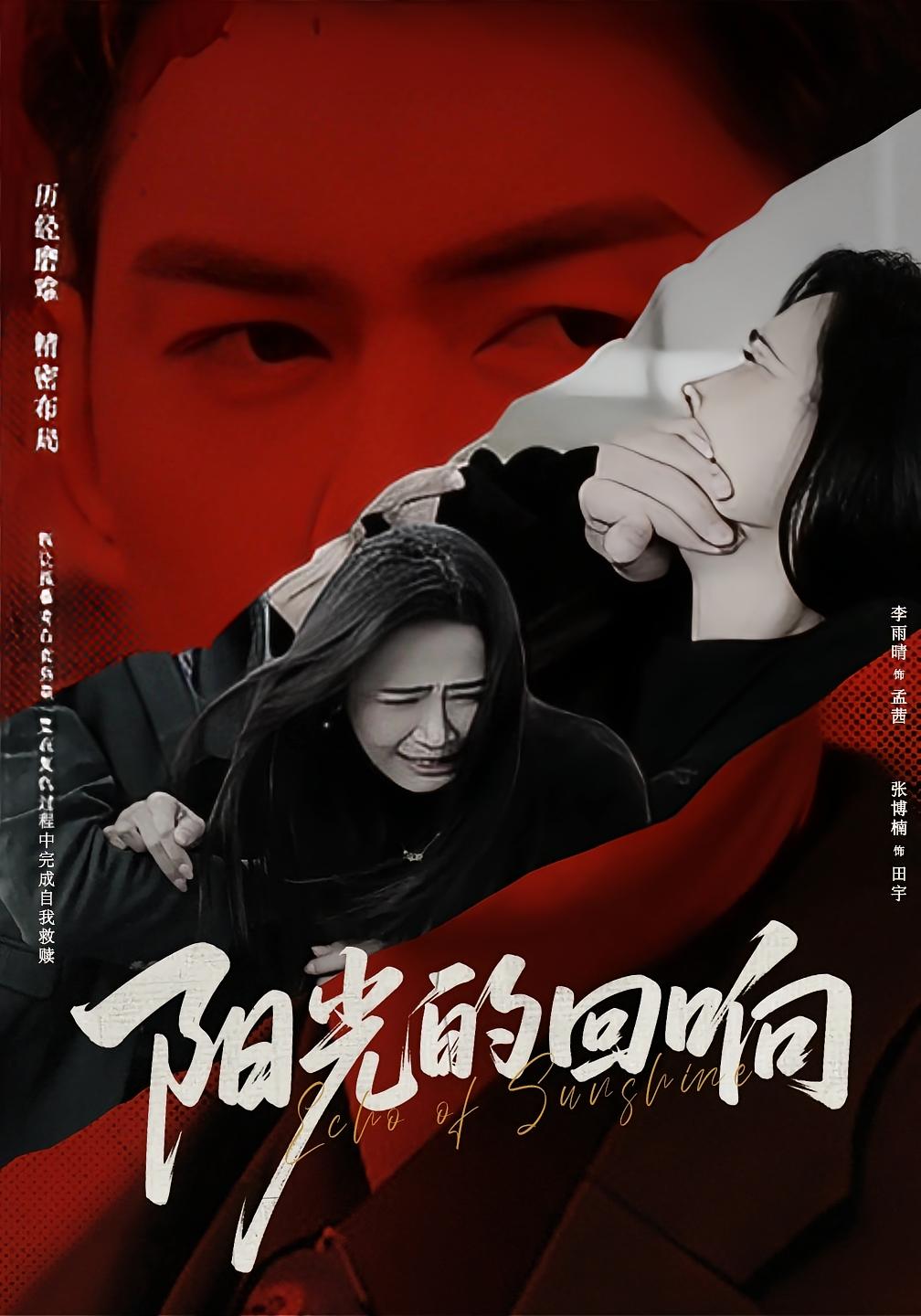 阳光的回响 打脸虐渣·总裁·全50集 李雨晴&张博楠&华睿