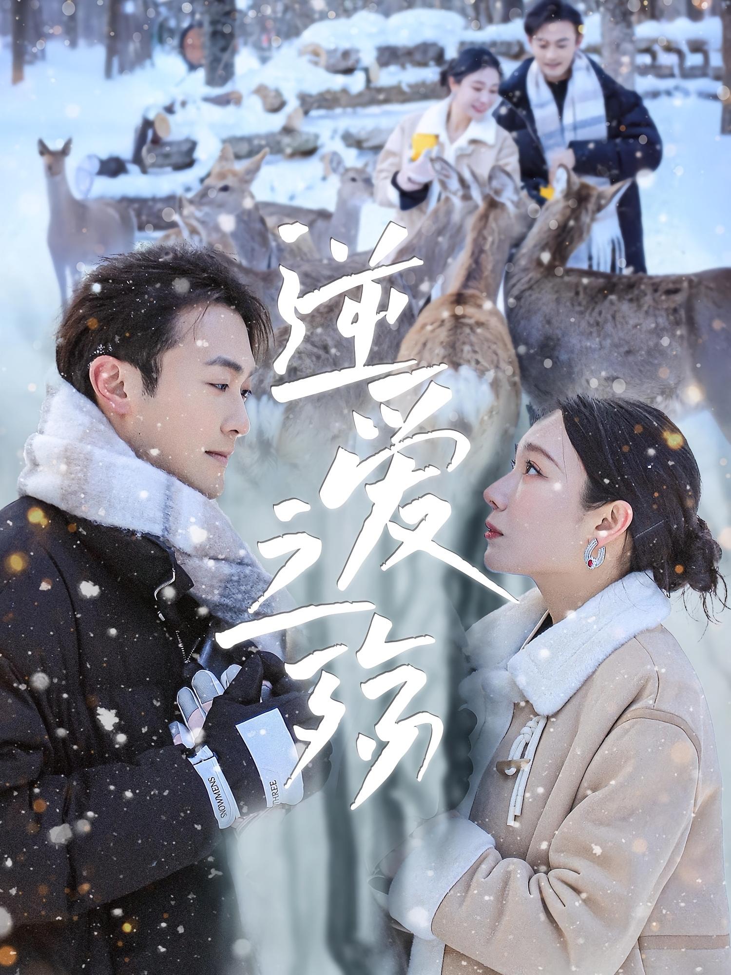 逆爱之殇 女性成长·都市·全60集 杨文昊&冯茗惊&安琪