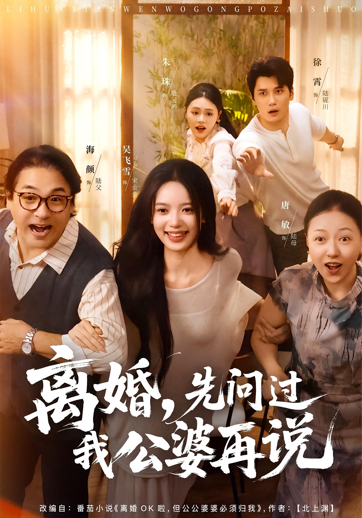 离婚，先问过我公婆再说 都市情感·都市·穿书 吴飞雪&徐霄&林曦