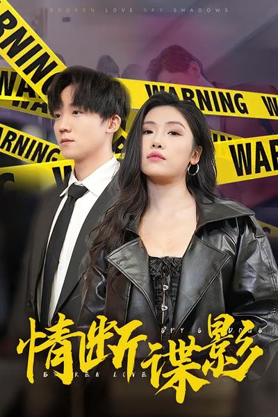 情断谍影封面图