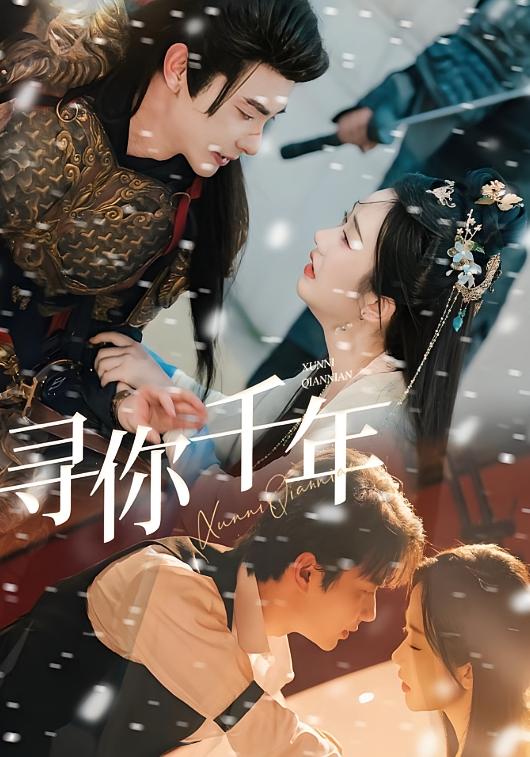 寻你千年 奇幻爱情·穿越·全48集 卢奂瑜&张晋宜