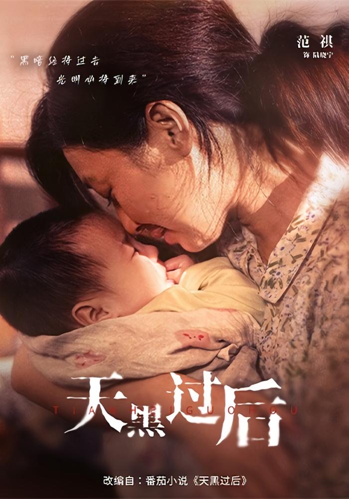 天黑过后 家庭伦理·都市·全78集 范祺&卫仁越&冯一桐