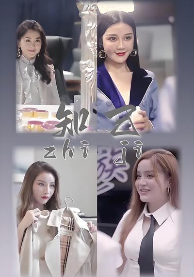 知己封面图