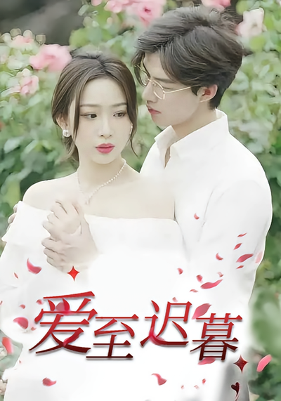 爱至迟暮封面图