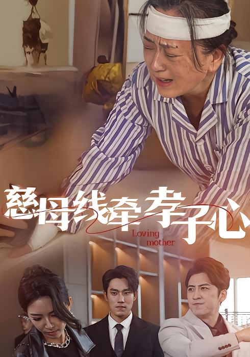 慈母线牵孝子心 都市日常·亲情·全60集 李岩松&徐良