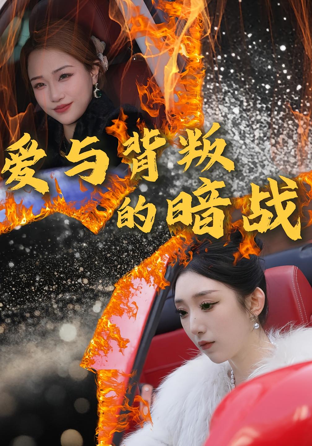 爱与背叛的暗战封面图