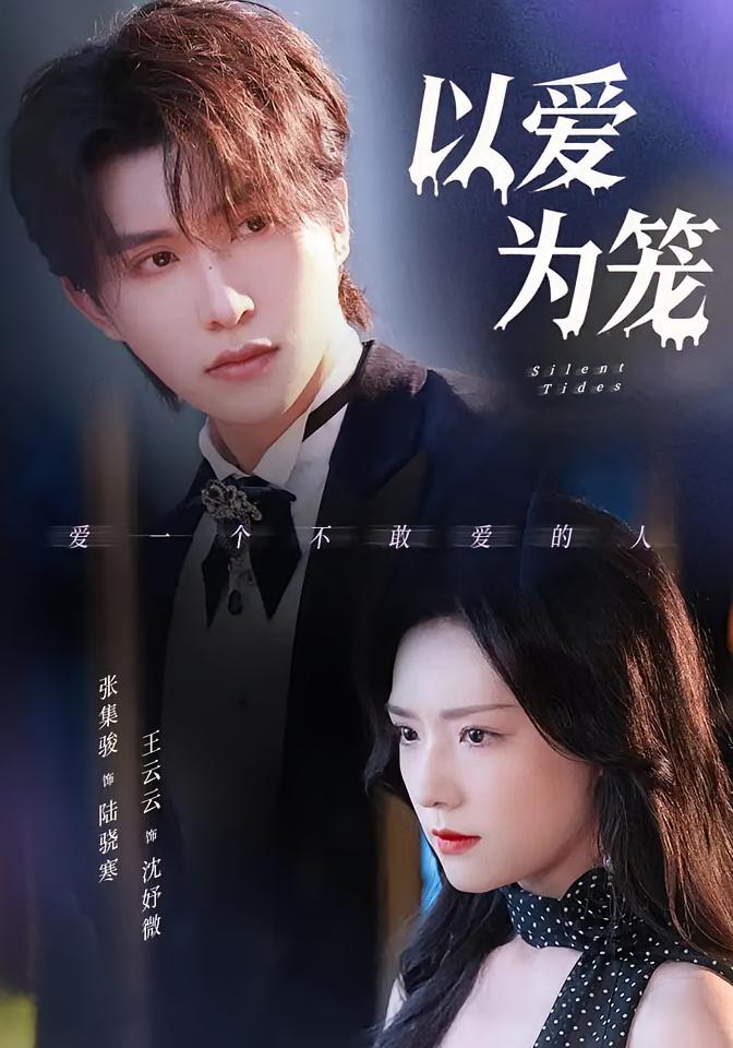 以爱为笼 都市情感·都市·全97集 王云云&张集骏&许莹华