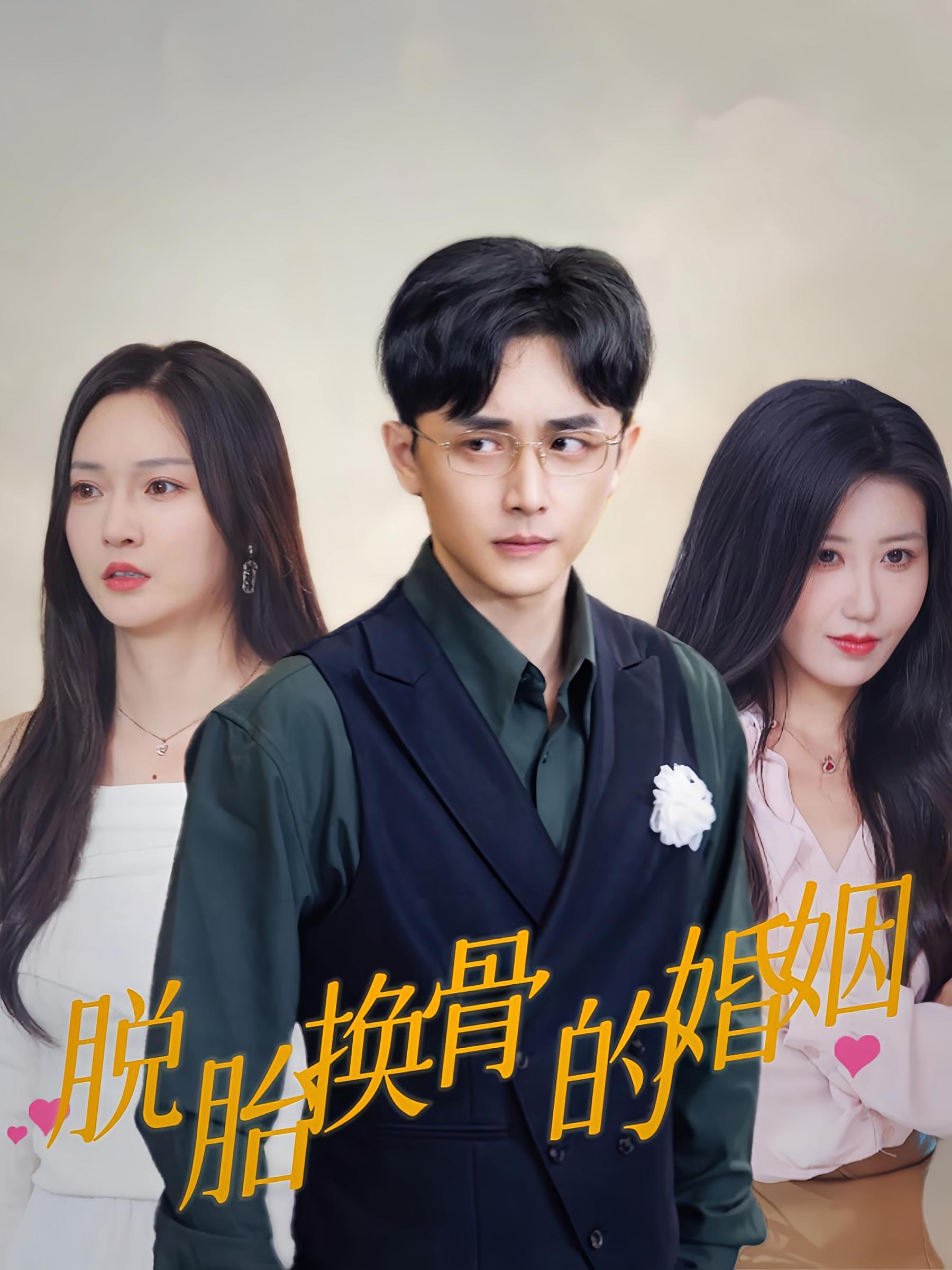 脱胎换骨的婚姻 打脸虐渣·重生·全30集 胡冬晴&韩野&周鸿影