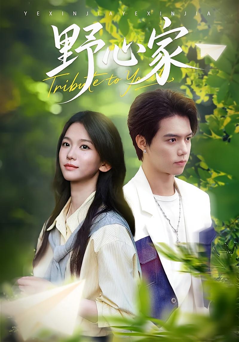 野心家 女性成长·都市·全65集 刘凡&王典典&尤洋