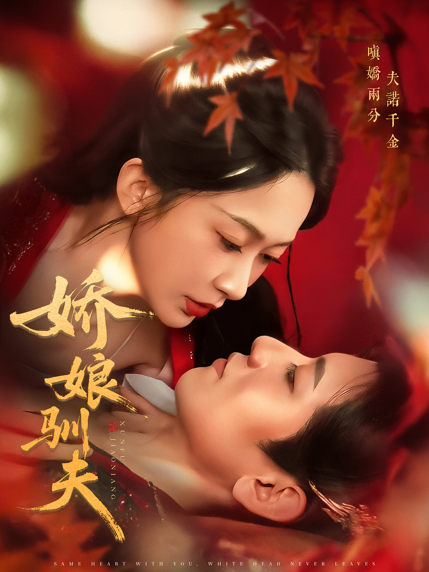 娇娘驯夫 古风言情·王妃·全82集 宋建彬&王金宝&令超