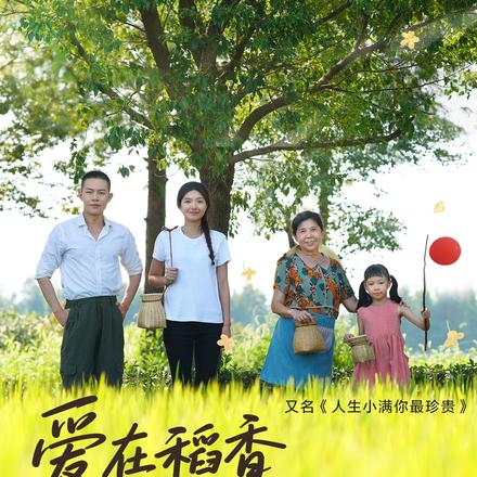 爱在稻香田野间
