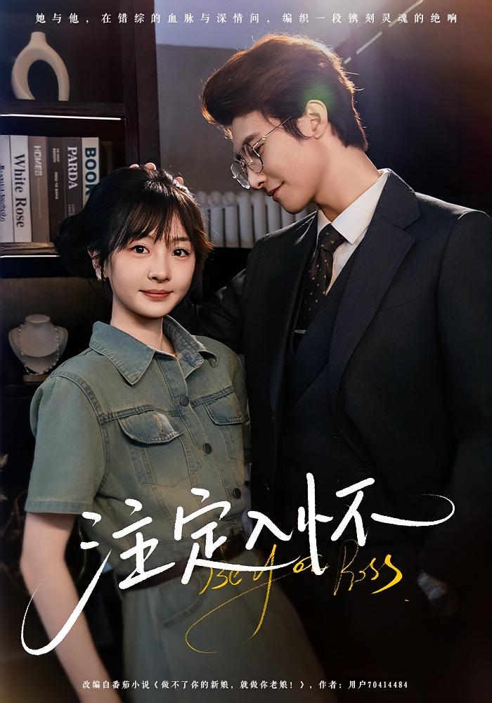 一步到位赵小姐疯狂加辈 都市情感·都市·全70集 张书溶&淮文&妍甄