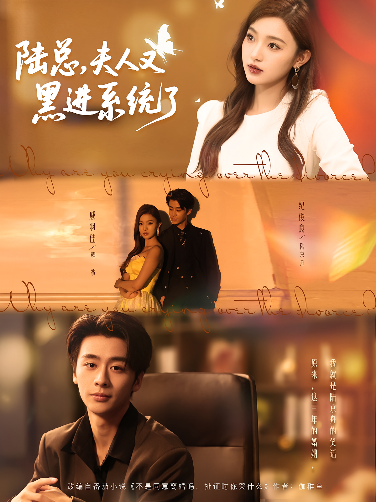 陆总，夫人又黑进系统了 都市情感·都市·全81集 纪俊良&戚羽佳&刘凯凯