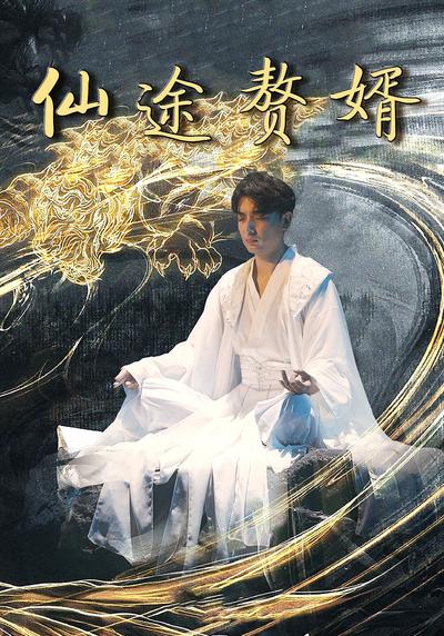 仙途赘婿封面图