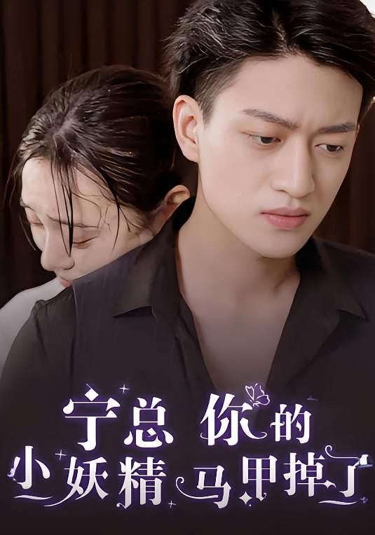 秘密恋人 都市情感·都市·全100集 傅宇航&王子安