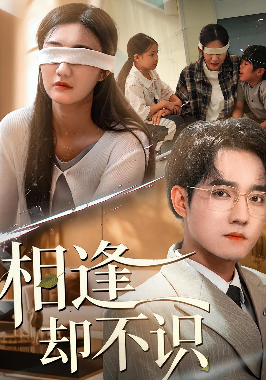 相逢却不识 都市情感·都市·全77集 邵琨瑶（小瑶瑶）&凤子豪&刘静阳