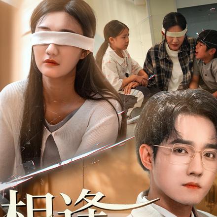 相逢却不识封面图