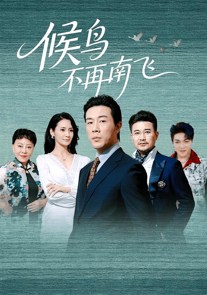 候鸟不再南飞 都市日常·都市·全80集 王真真&张雨晨&王楚