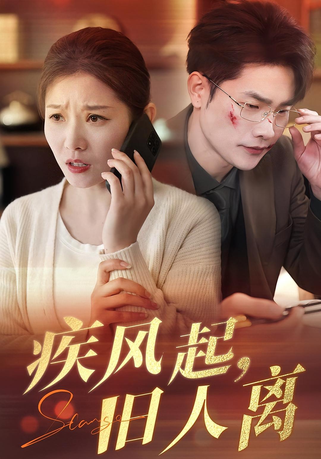 疾风起，旧人离 女性成长·马甲·全32集 刘灿&薛海威&陈雅钰