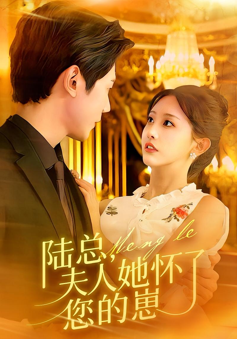 陆总，夫人她怀了您的崽 都市情感·都市·全89集 李艾笑&何连飞