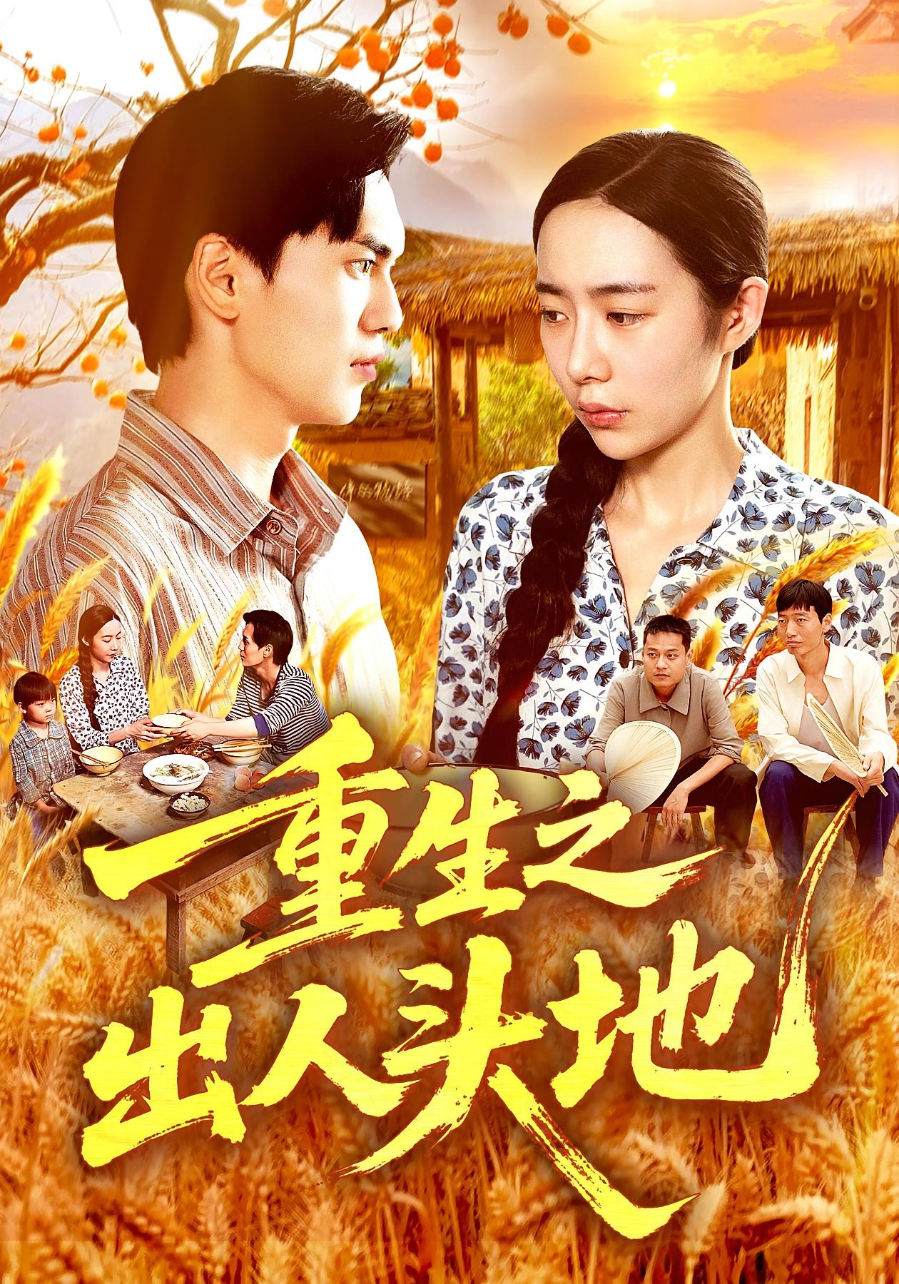 重生之出人头地 种田经营·重生·全88集 杨林涛&林准&王启航(满满)