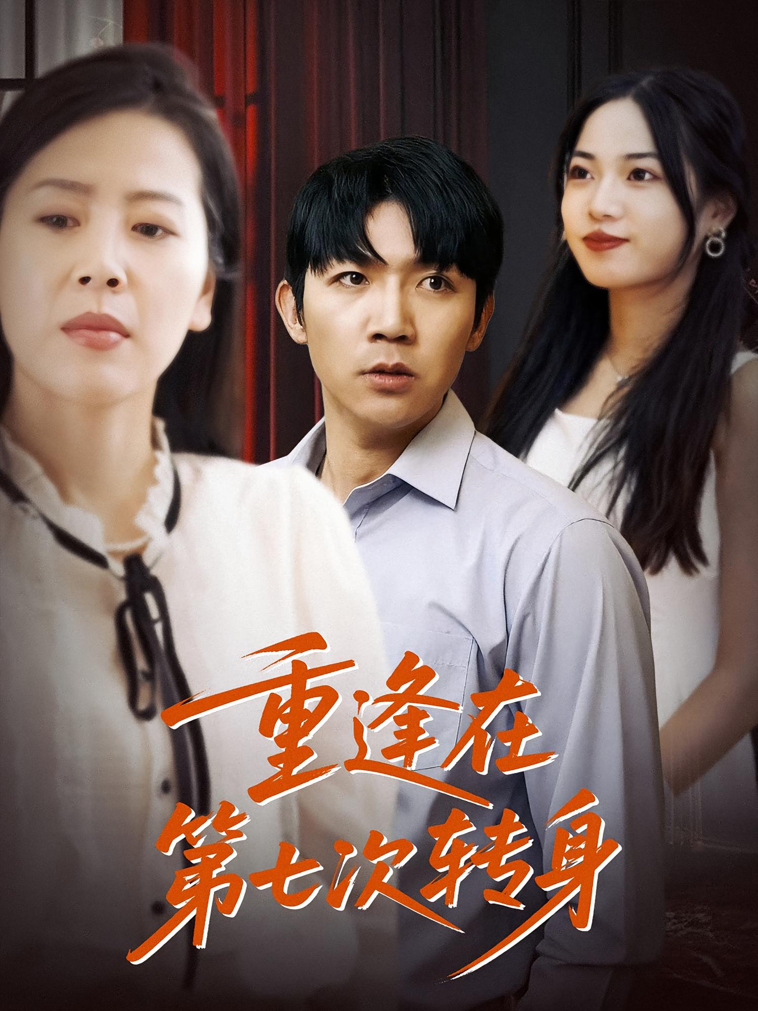 重逢在第七次转身 现言虐恋·都市·全75集 张北淅&王蓉