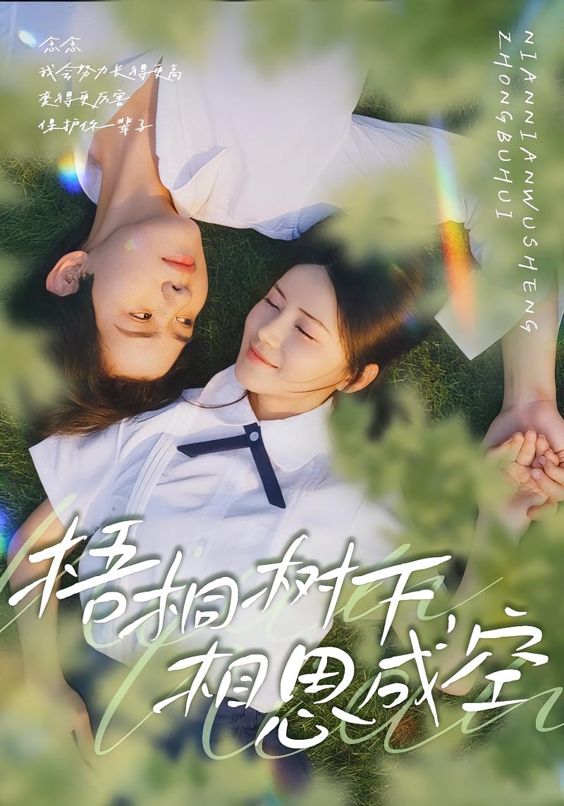 梧桐树下，相思成空 都市情感·都市·全69集 游雅&刘家铭