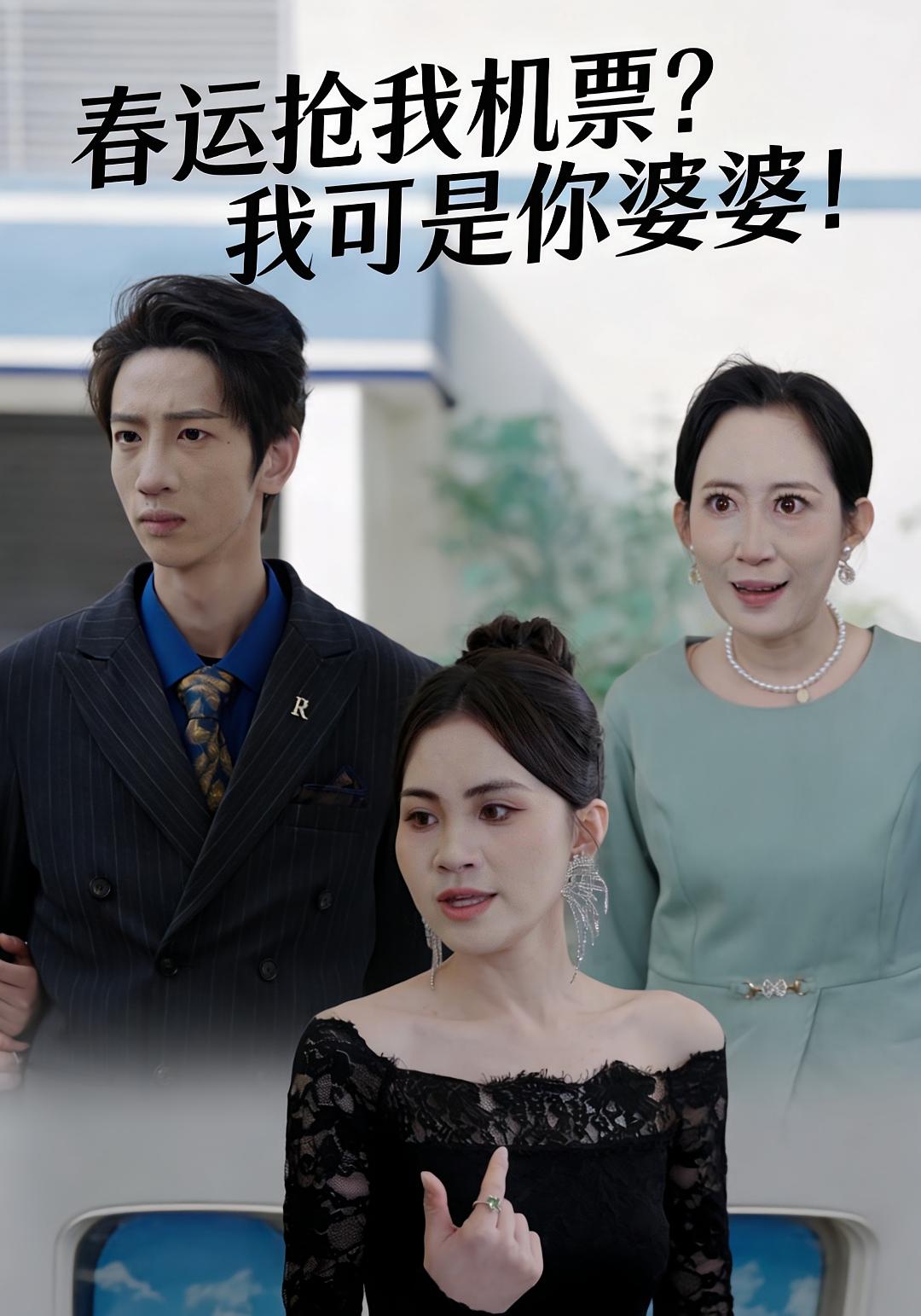 春运抢我机票我可是你婆婆封面图
