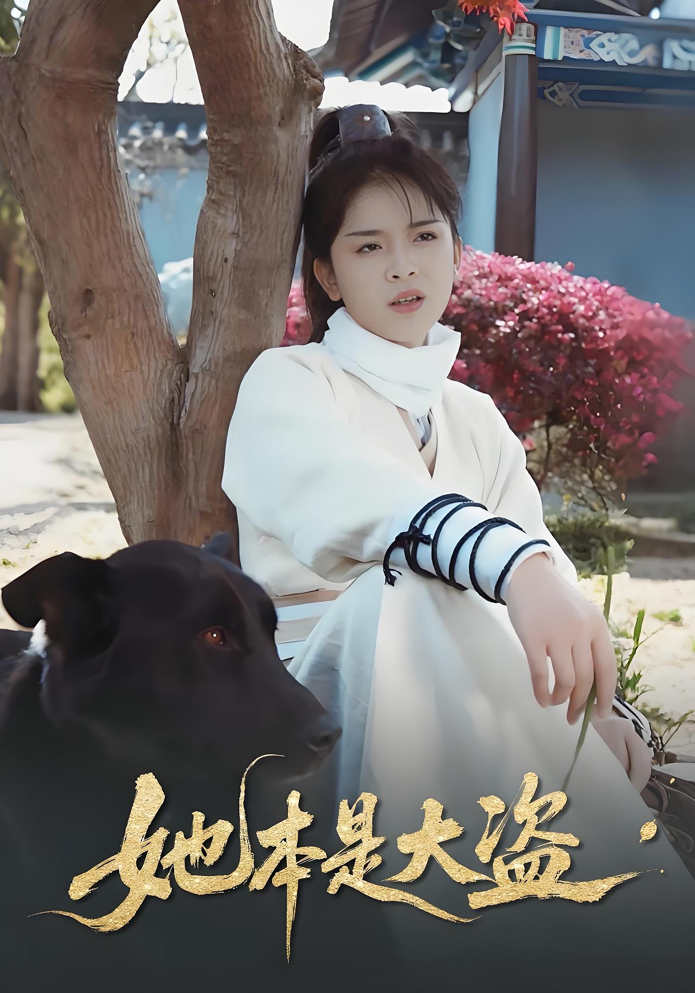 权宠刁妃 宫斗宅斗·穿越·全16集 御儿&童锦程