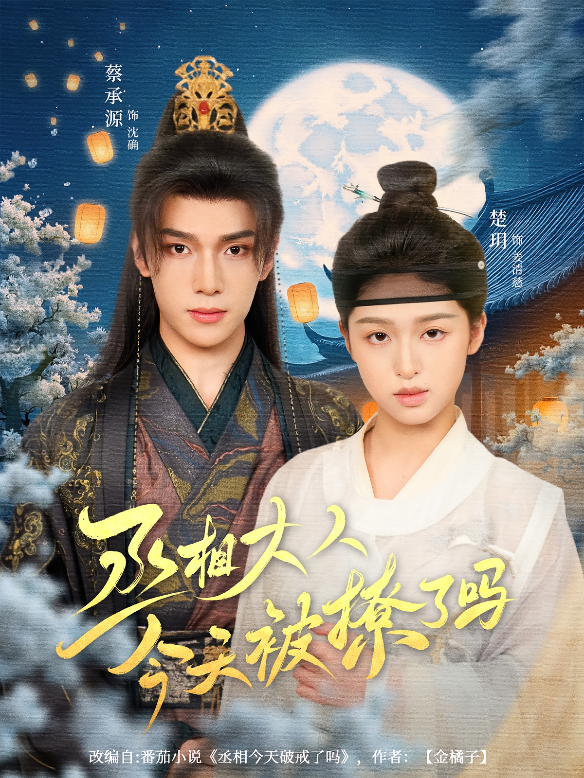 丞相大人今天被撩了吗 古风言情·日久生情·全80集 蔡承源&李萌兰&王嫣儿