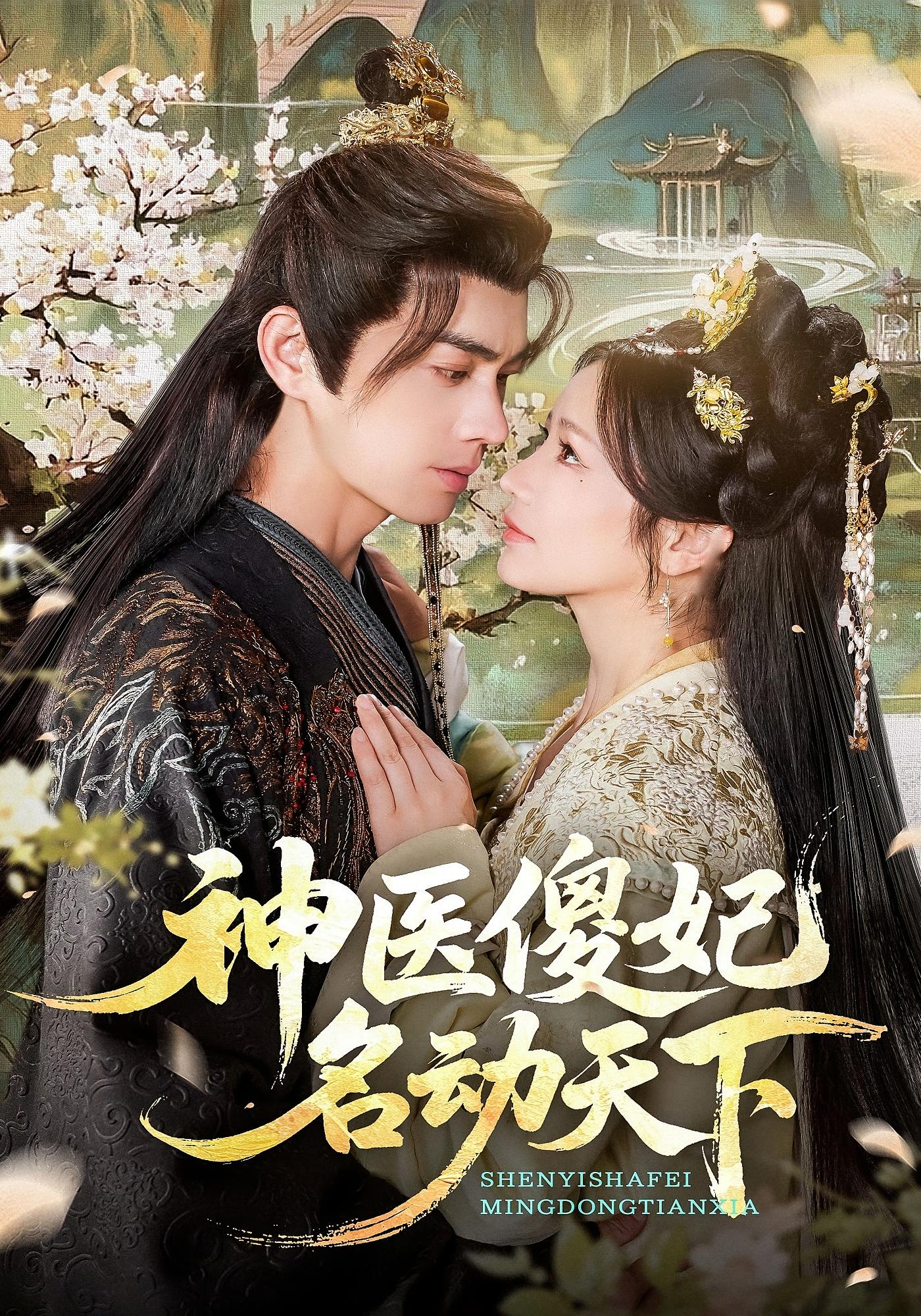 神医傻妃名动天下 古风言情·穿越·全80集 王彦鑫&伍姣&易辰铭