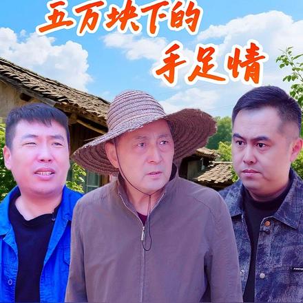 五万块下的手足情