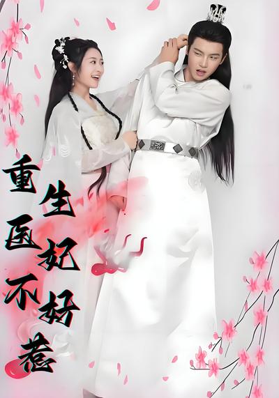 重生医妃不好惹