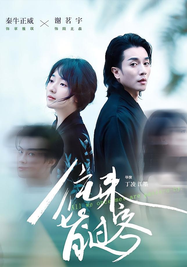 往来皆过客 都市情感·总裁·全50集 谢茗宇&梁栩&秦牛正威