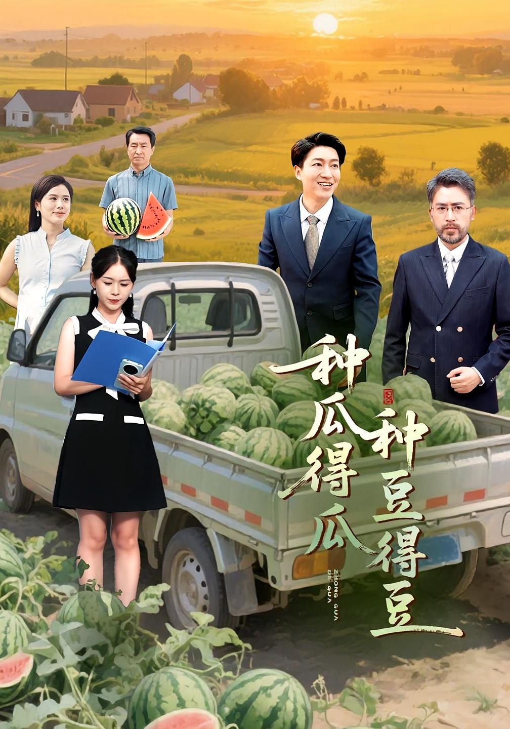 种瓜得瓜种豆得豆 都市日常·总裁·全50集 田家川&王康洁&陈子轩