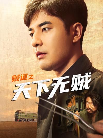 贼道之天下无贼封面图