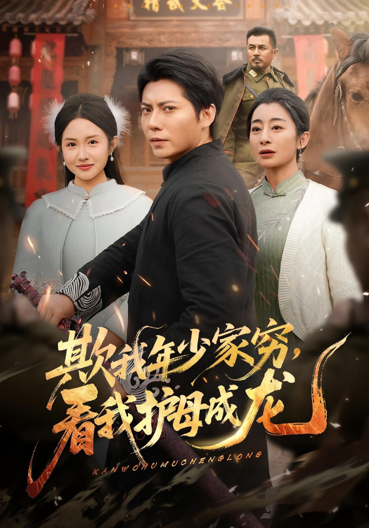 欺我年少家穷看我护母成龙封面图