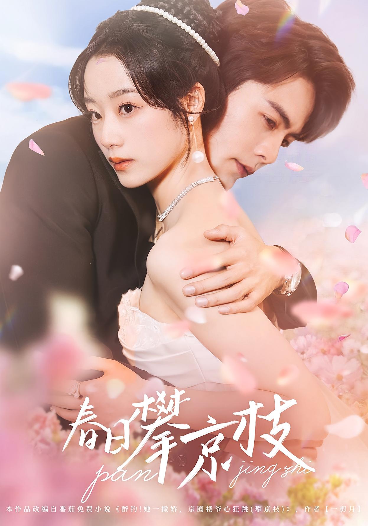 春日攀京枝 都市情感·闪婚·全85集 王小亿&王楠&赵诗意