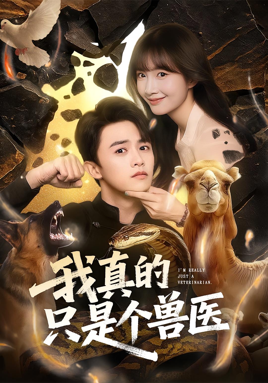我真的只是个兽医 无敌神医·都市·全64集 陈外&赵菲&惠浩