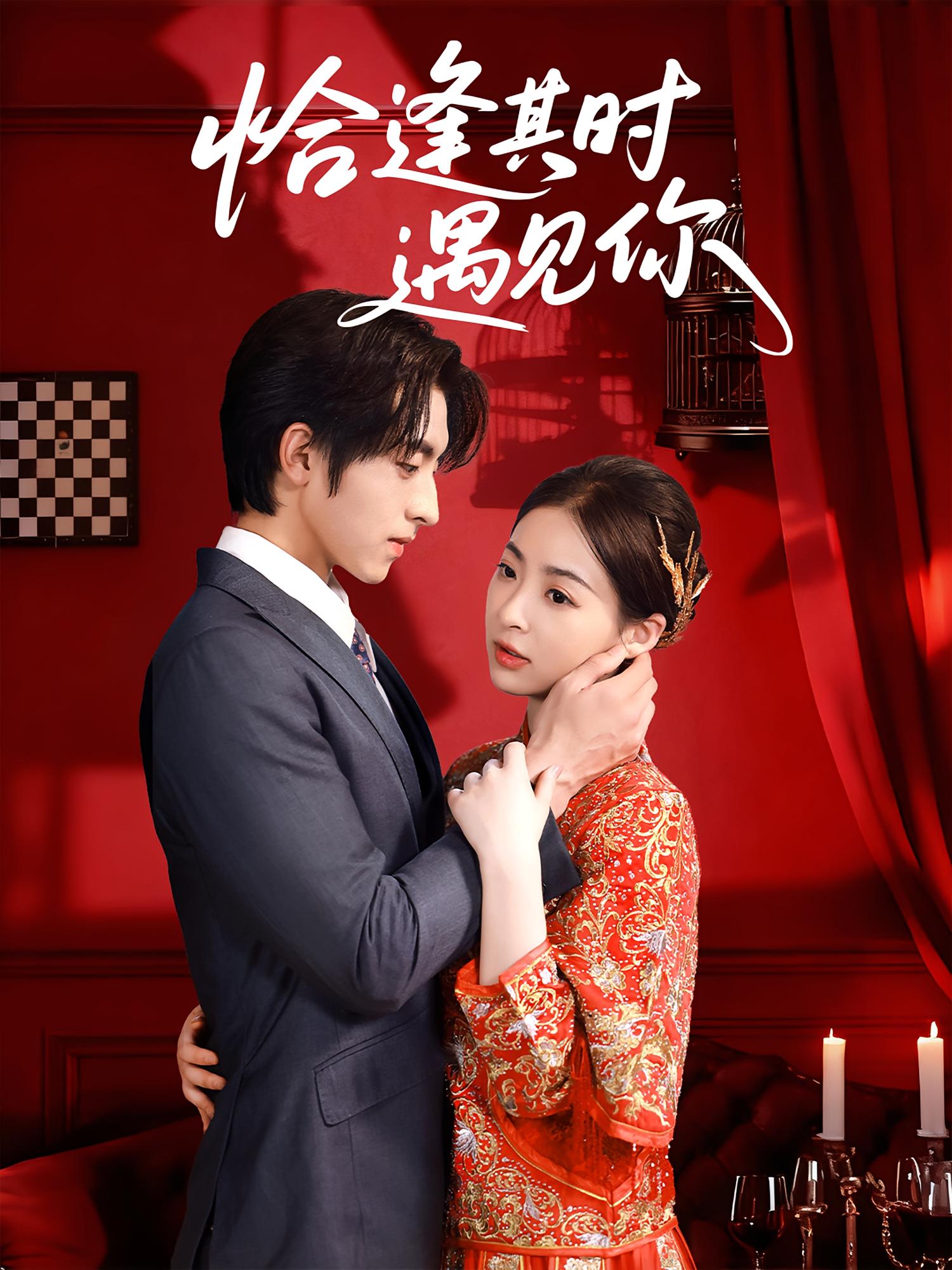 恰逢其时遇见你 都市情感·都市·全60集 李唐明&马世纪&朱静