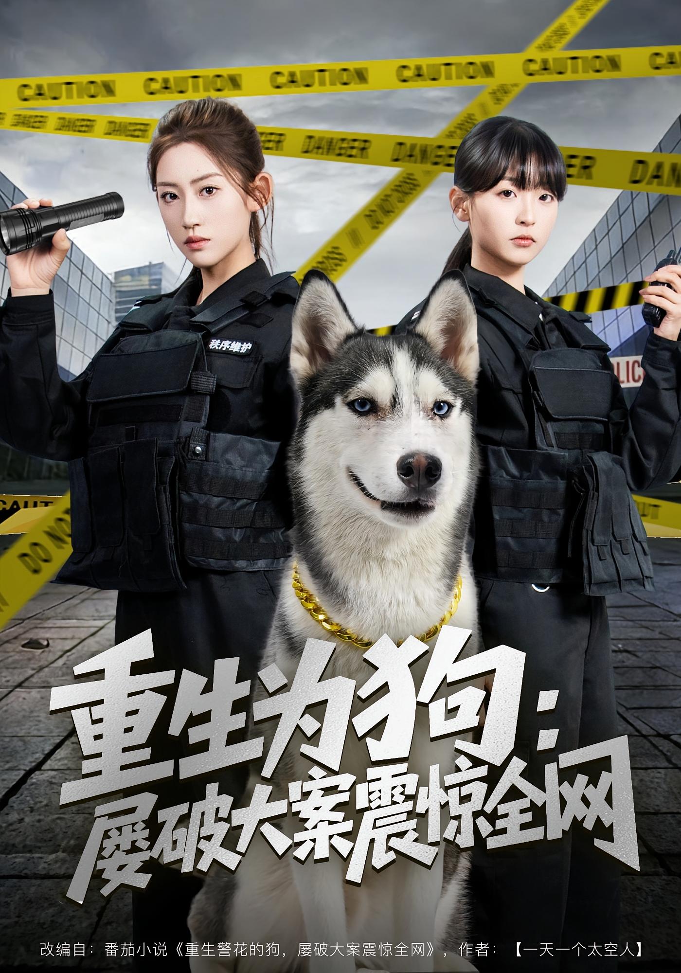 重生为狗：屡破大案震惊全网 奇幻脑洞·重生·全80集 范经明&王冰星