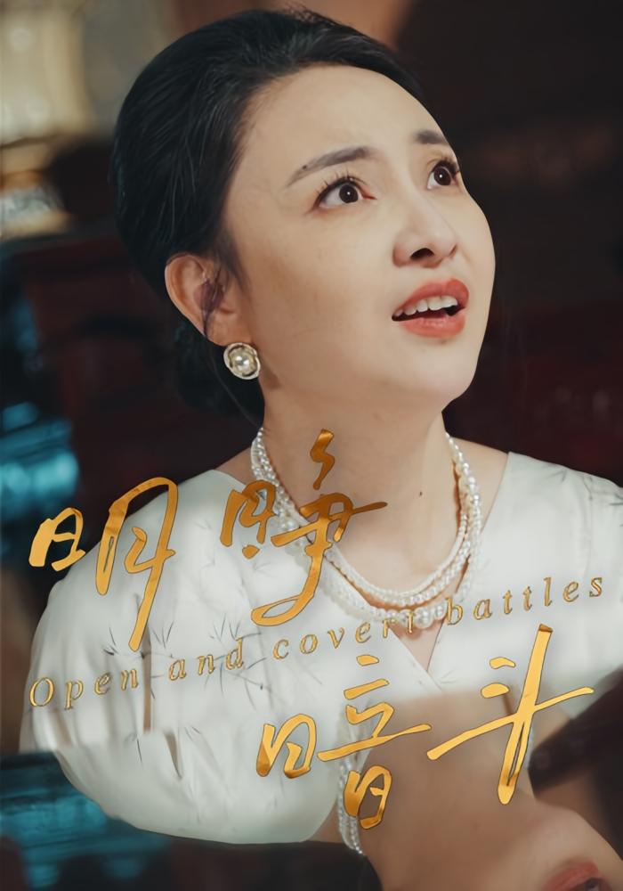 明睁暗斗 女性成长·都市·全30集 刘永红&王语薇&张艺娜