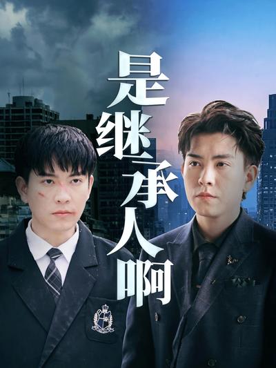 是继承人啊封面图